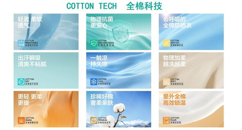 共創(chuàng) 共鏈 共贏 2025穩(wěn)健集團創(chuàng)新發(fā)展研討會聚焦技術開發(fā)新路徑